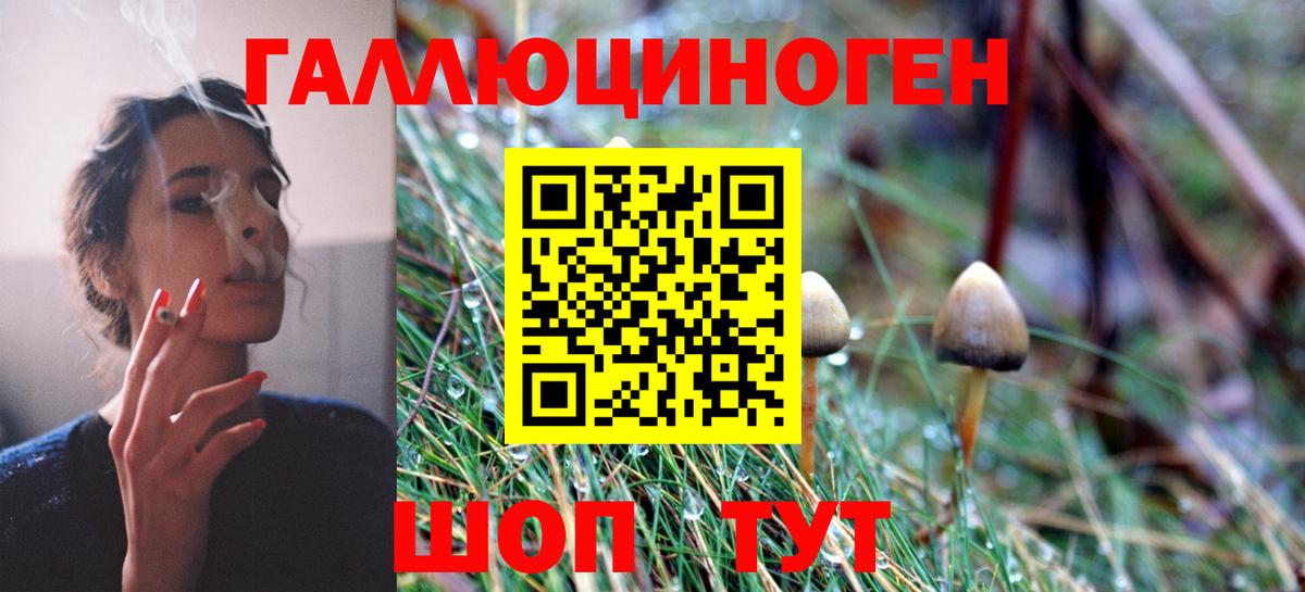 Клин  Псилоцибиновые грибы прущие грибы  Вход с VPN 