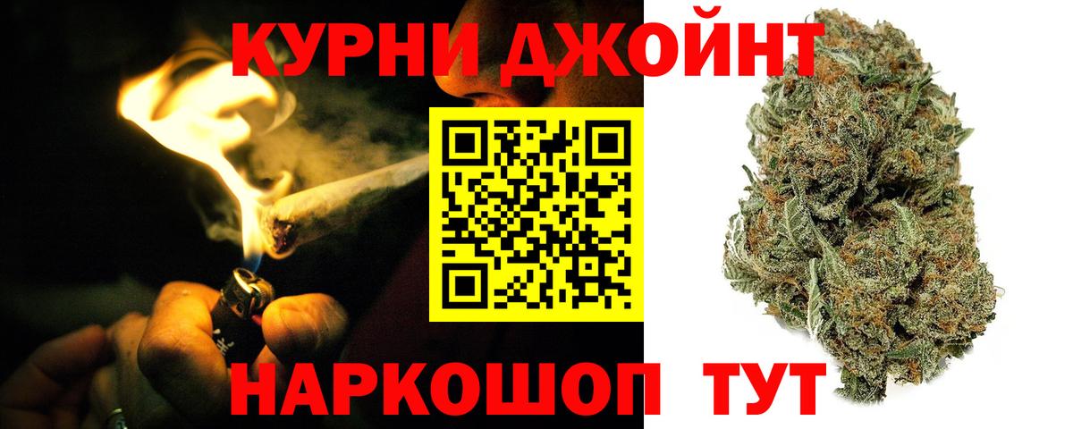 Бошки Шишки MAZAR Клин